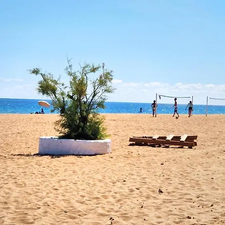 La Gallega